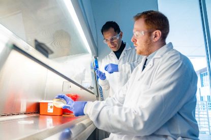 Two scientists in lab coats work with amber liquids in lab glassware under a fume hood.