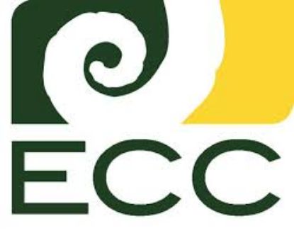 Engineering College Council logo